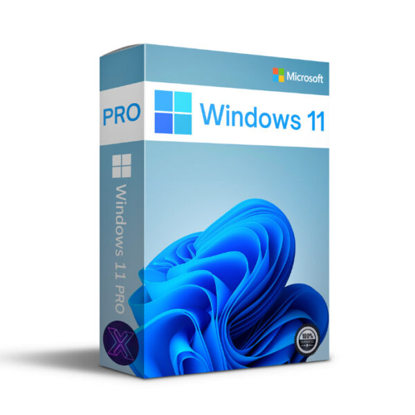 Windows 11 Pro
