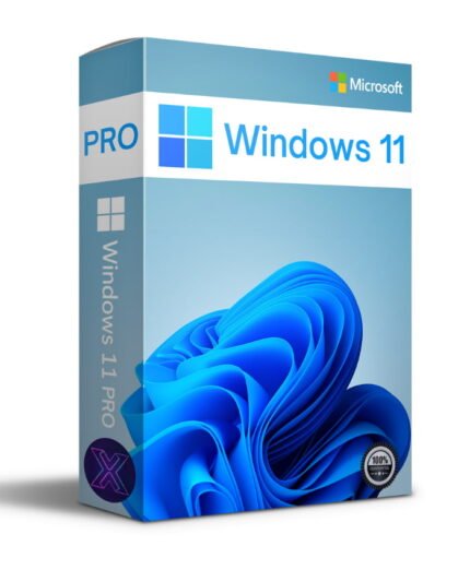 Windows 11 Pro OEM